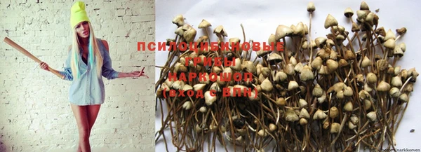 амф Киренск